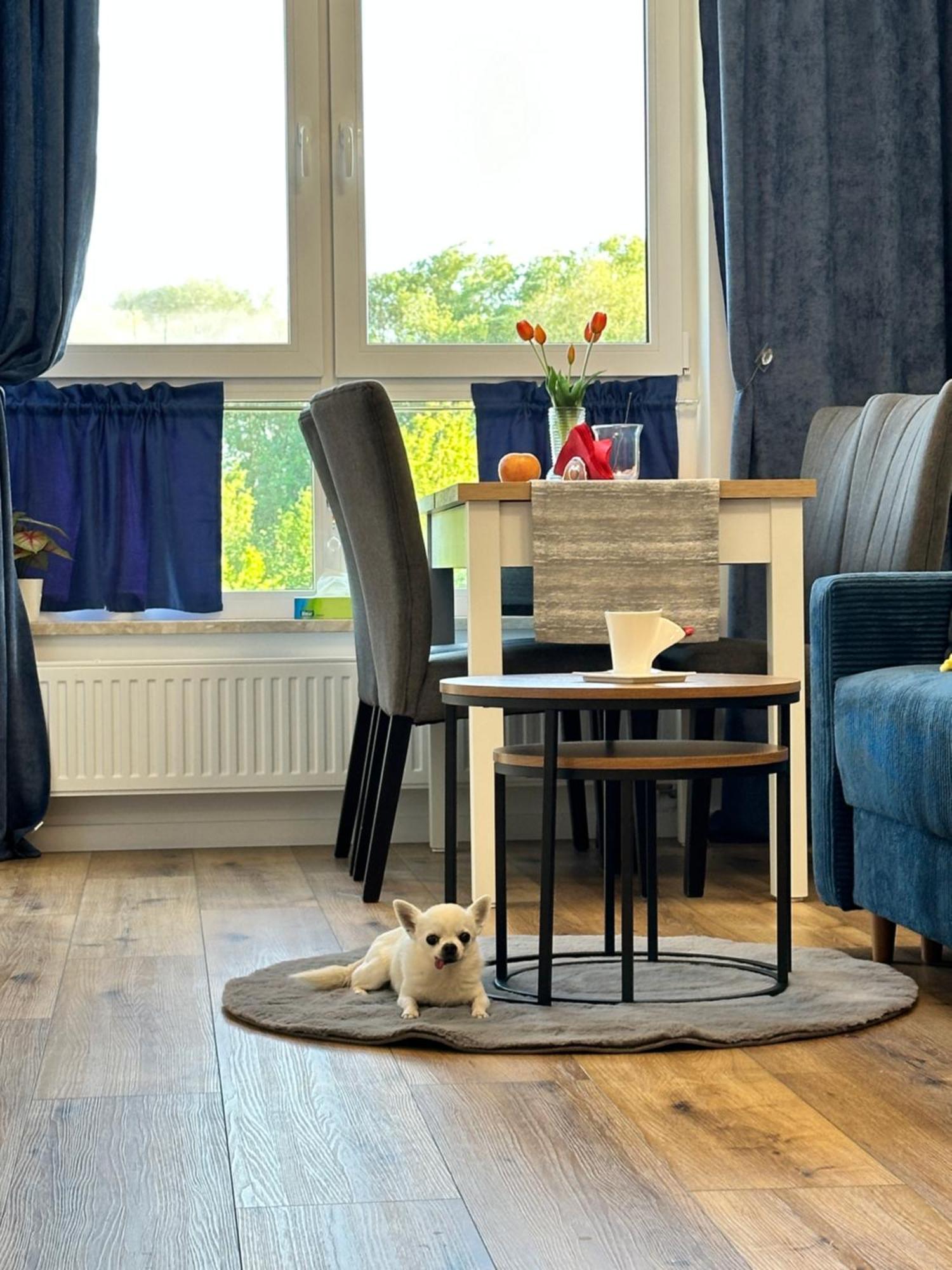 Na Wiedenskiej Apartment